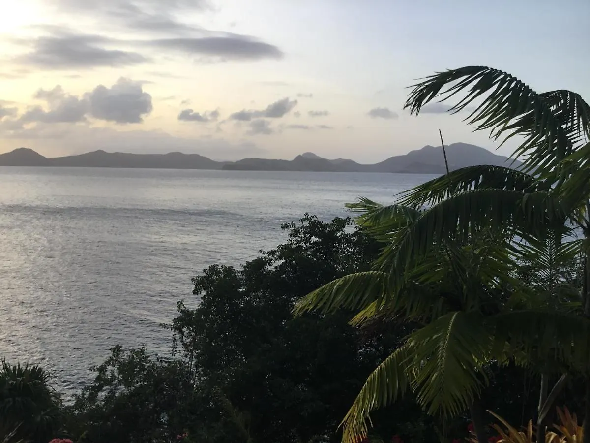 Beautiful 3 Story 8,000 Sq Ft Oceanside Mansion Villa Nevis